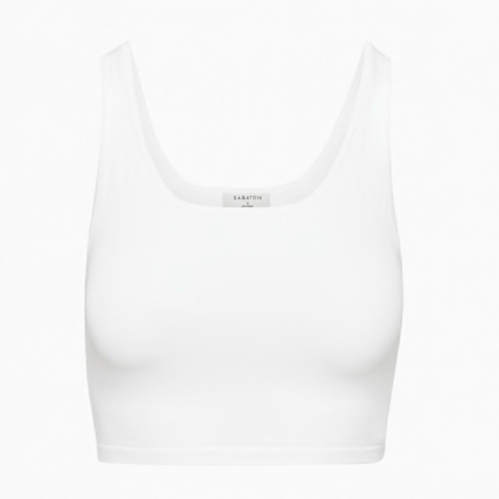 Babaton Aritzia Knit Tank